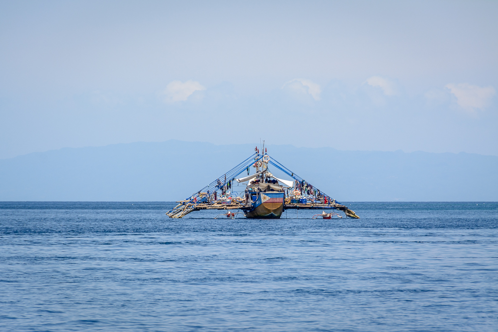 Whale watching in Oslob, the Philippines