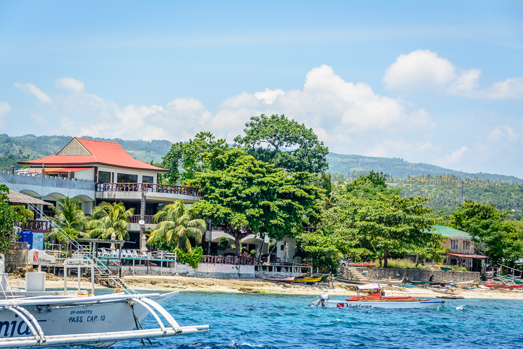 Whale watching in Oslob, the Philippines