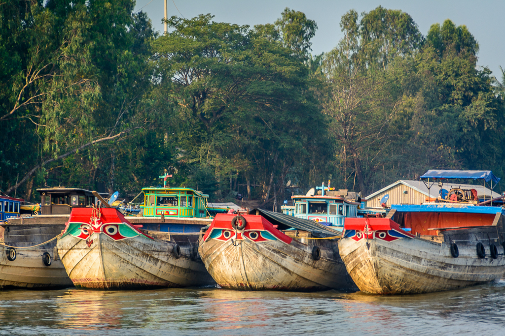 Mekong Delta - Vietnam