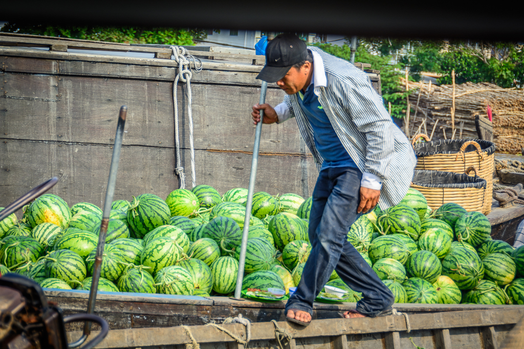 Mekong Delta - Vietnam