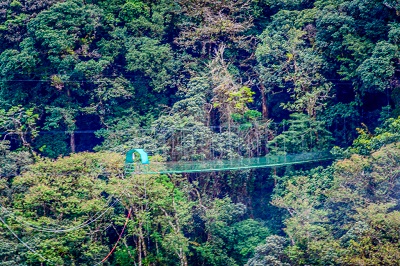 Suspended bridge in Monteverde