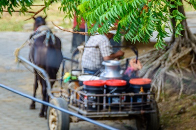 Milk delivery in San Juan del Sur