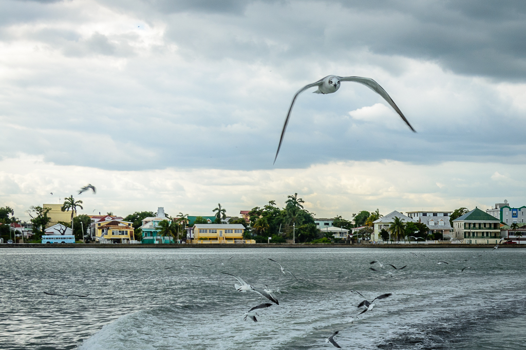 Caye Caulker, Belize